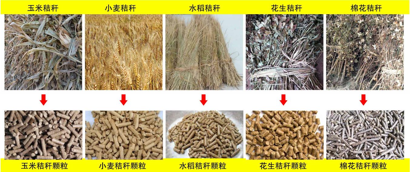 玉米秸稈、小麥秸稈等原材料